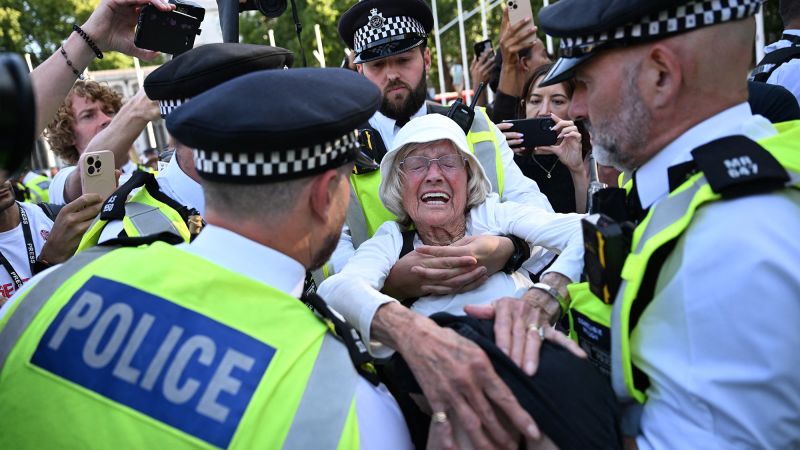 Revés judicial al Gobierno británico: ilegal banear activistas pro-Palestina