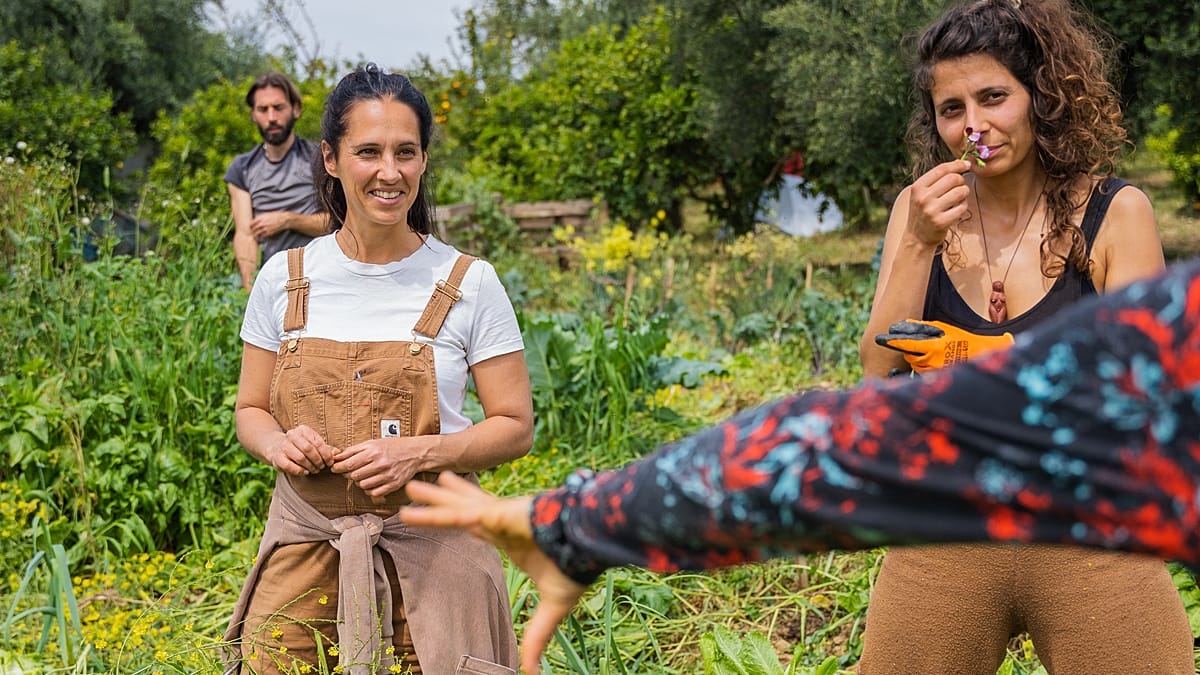 Guerra en Irán pone en jaque granjas europeas: el auge de la agricultura regenerativa