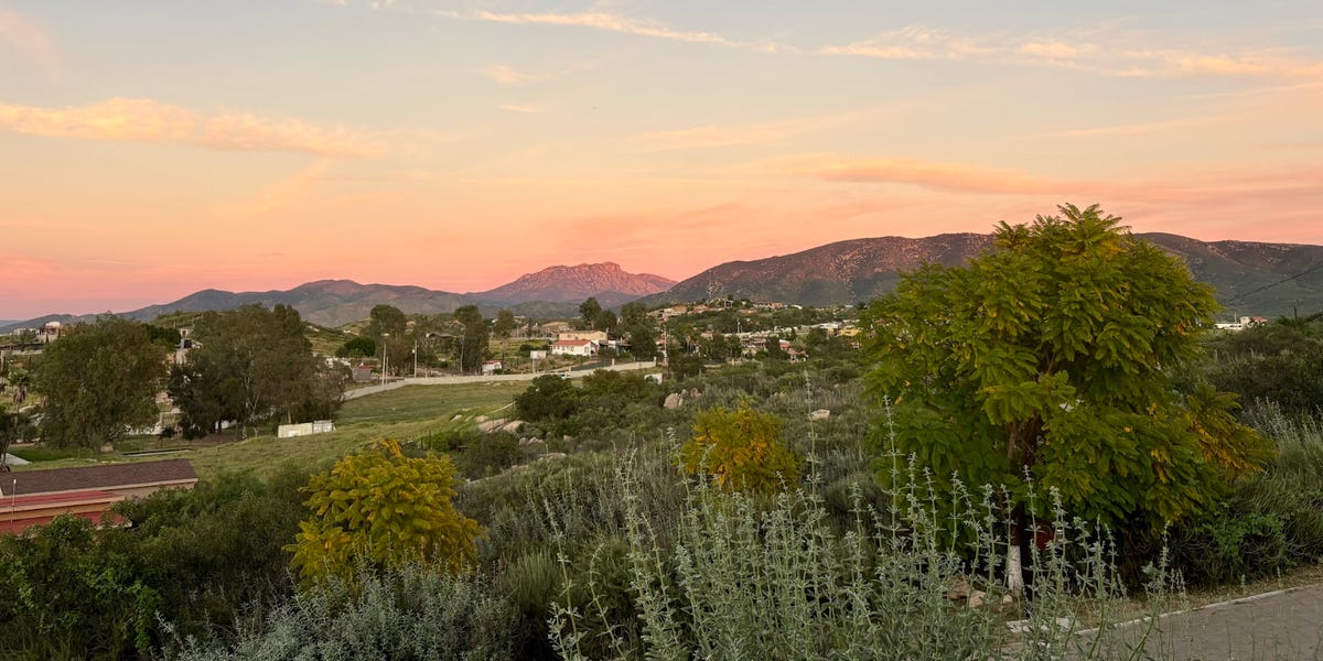 El valle mexicano de vinos que supera a California este verano